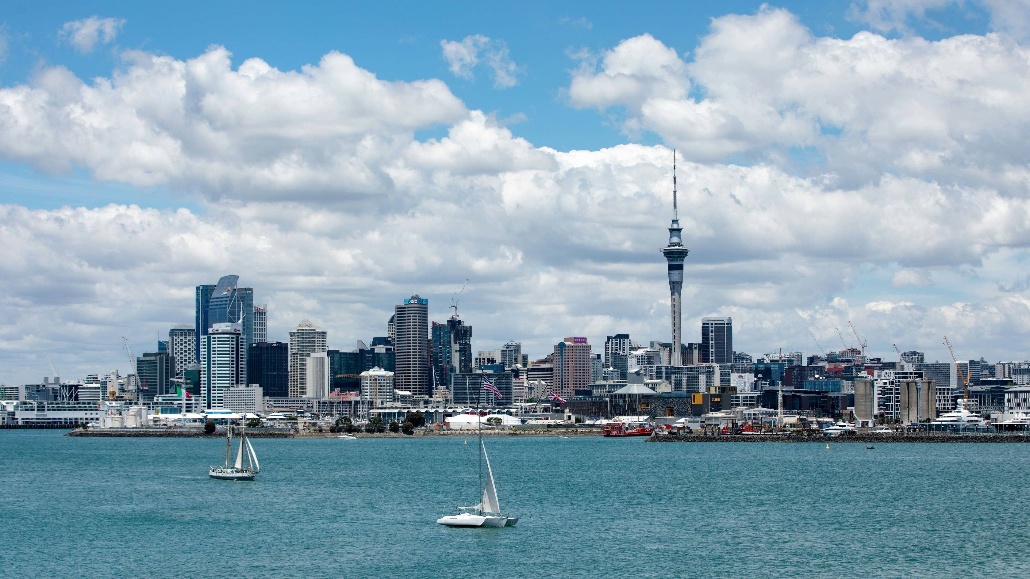 Cinematic view of New Zealand