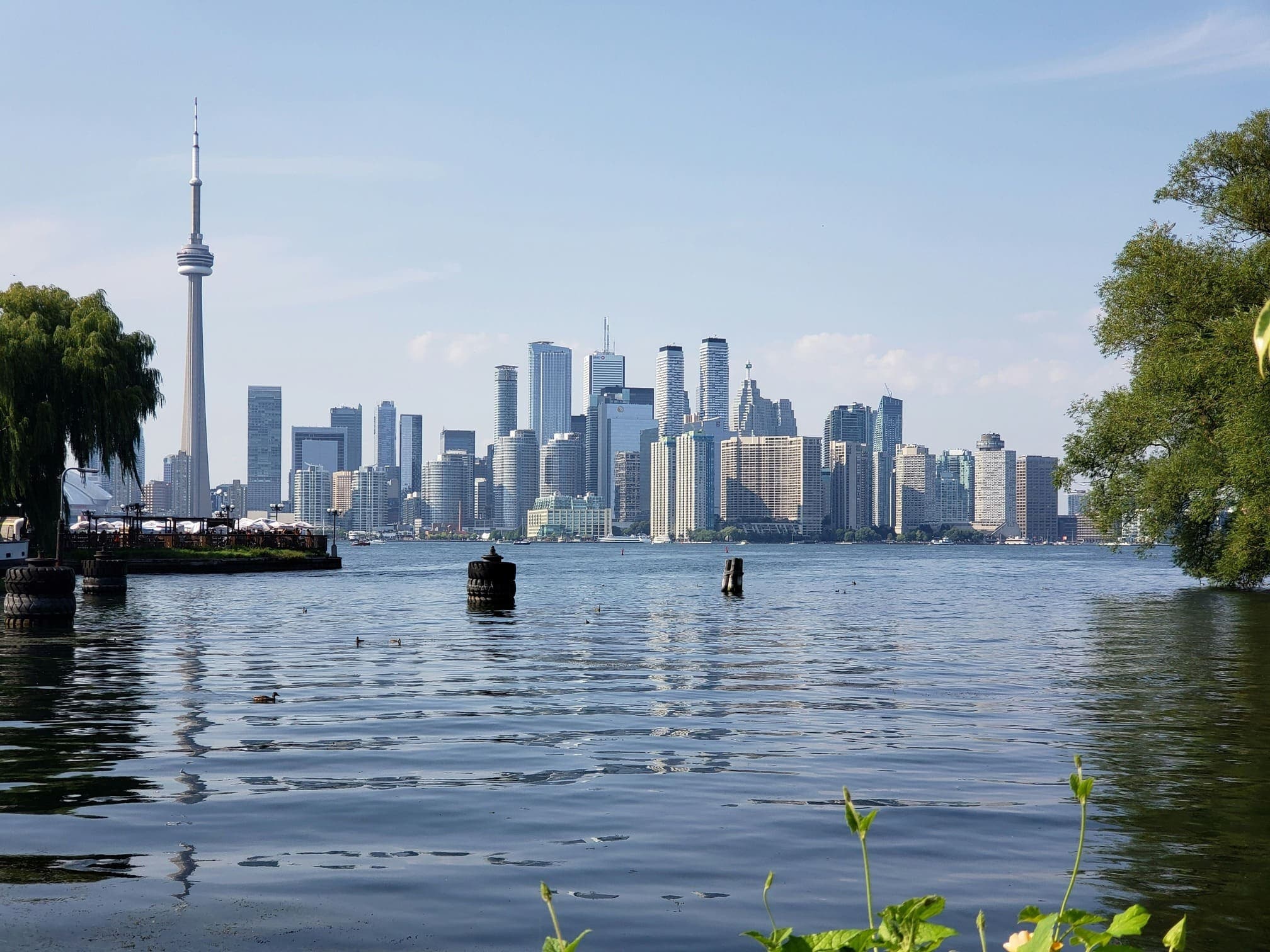 Study in Canada